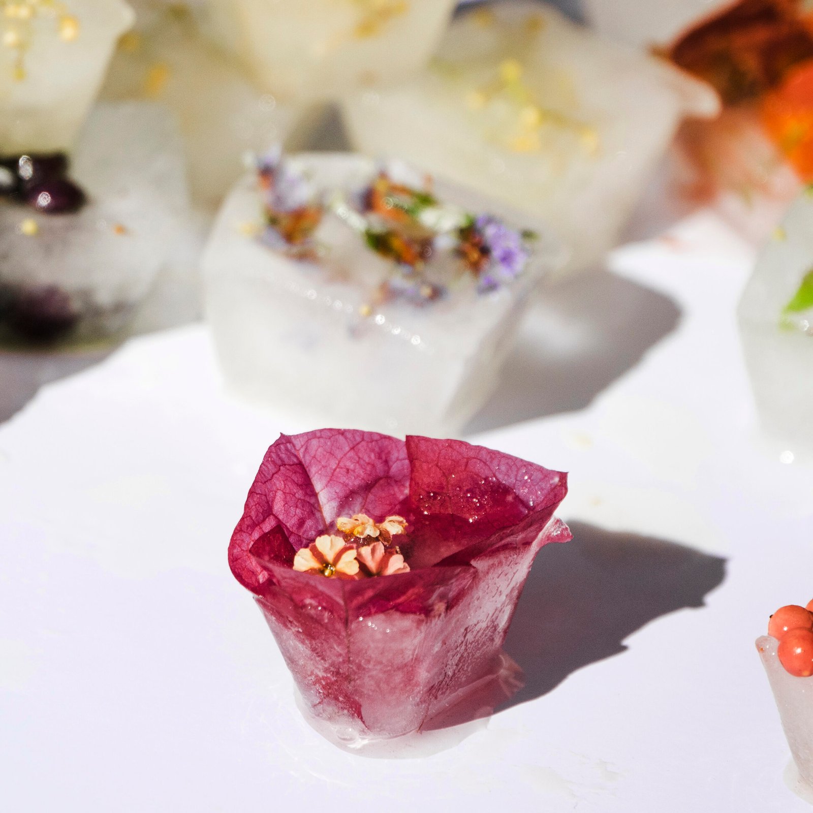 Red flower plants ice blocks scaled